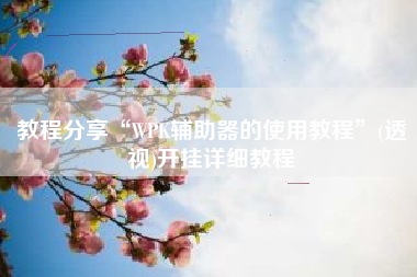 教程分享“WPK辅助器的使用教程”(透视)开挂详细教程