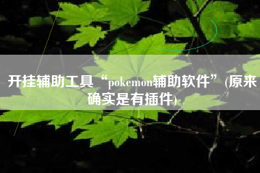 开挂辅助工具“pokemon辅助软件”(原来确实是有插件)