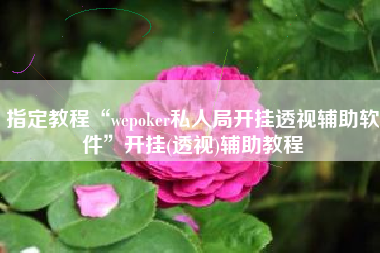 指定教程“wepoker私人局开挂透视辅助软件	”开挂(透视)辅助教程