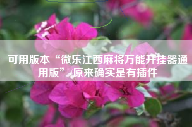 可用版本“微乐江西麻将万能开挂器通用版”(原来确实是有插件