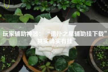 玩家辅助神器：“德扑之星辅助挂下载”其实确实有挂