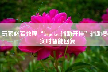 玩家必看教程“wepoker辅助开挂”辅助器 - 实时智能回复
