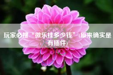 玩家必搜“微乐挂多少钱”(原来确实是有插件)