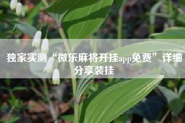 独家实测“微乐麻将开挂app免费	”详细分享装挂