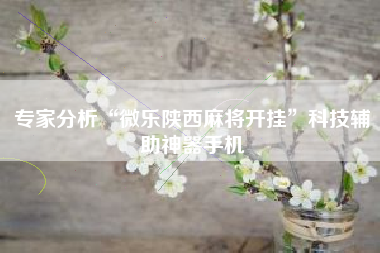 专家分析“微乐陕西麻将开挂”科技辅助神器手机