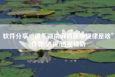 软件分享“微乐湖南麻将赢牌规律是啥”作弊(透视)透视辅助