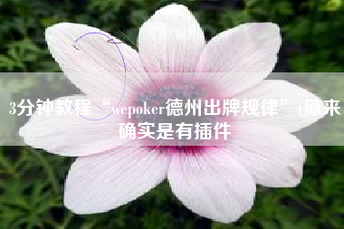 3分钟教程“wepoker德州出牌规律	”(原来确实是有插件