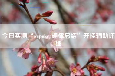 今日实测“wepoker规律总结”开挂辅助详细