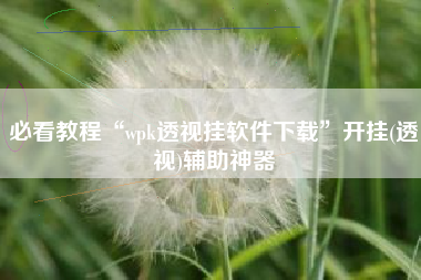 必看教程“wpk透视挂软件下载”开挂(透视)辅助神器