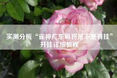 实测分析“雀神广东麻将是不是有挂	”开挂详细教程