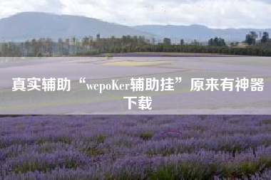 真实辅助“wepoKer辅助挂”原来有神器下载