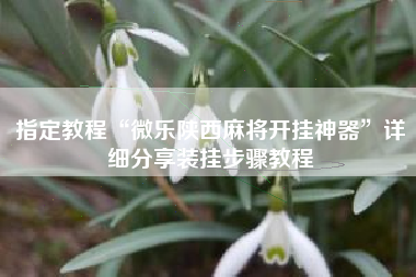 指定教程“微乐陕西麻将开挂神器”详细分享装挂步骤教程