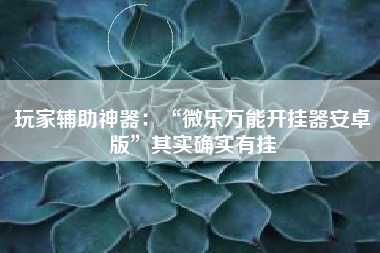 玩家辅助神器：“微乐万能开挂器安卓版	”其实确实有挂