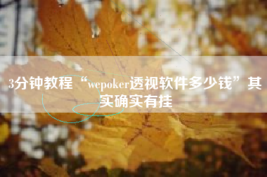 3分钟教程“wepoker透视软件多少钱”其实确实有挂