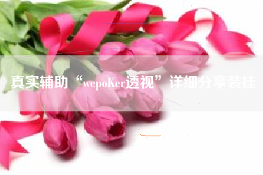真实辅助“wepoKer透视	”详细分享装挂
