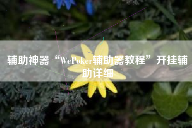 辅助神器“WePoker辅助器教程”开挂辅助详细