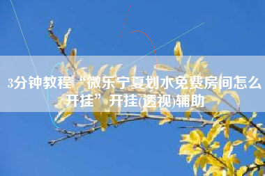 3分钟教程“微乐宁夏划水免费房间怎么开挂	”开挂(透视)辅助