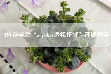 3分钟学会“wepoker透视作弊	”详细开挂
