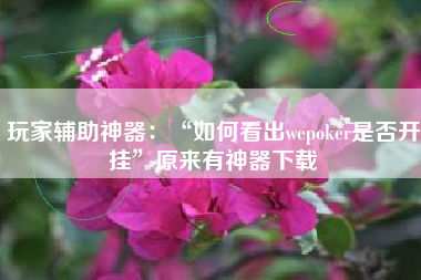 玩家辅助神器：“如何看出wepoker是否开挂	”原来有神器下载