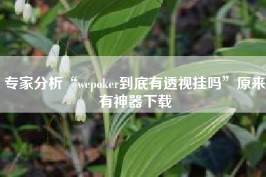 专家分析“wepoker到底有透视挂吗”原来有神器下载