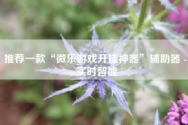 推荐一款“微乐游戏开挂神器”辅助器 - 实时智能