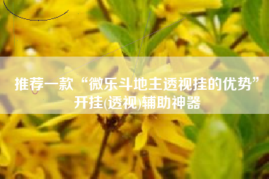 推荐一款“微乐斗地主透视挂的优势	”开挂(透视)辅助神器