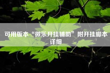 可用版本“微乐开挂辅助”附开挂脚本详细