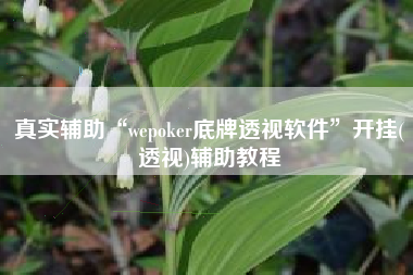 真实辅助“wepoker底牌透视软件”开挂(透视)辅助教程