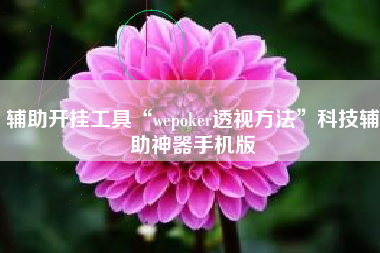 辅助开挂工具“wepoker透视方法”科技辅助神器手机版