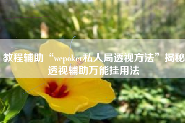 教程辅助“wepoker私人局透视方法”揭秘透视辅助万能挂用法