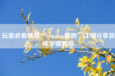 玩家必看教程“wepoker辅助”详细分享装挂步骤教程