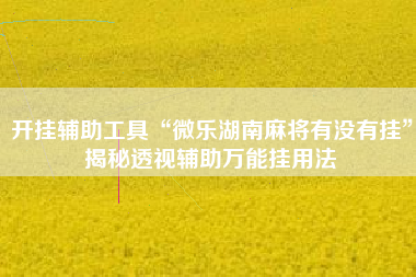 开挂辅助工具“微乐湖南麻将有没有挂”揭秘透视辅助万能挂用法