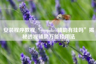 安装程序教程“we-poker辅助有挂吗”揭秘透视辅助万能挂用法