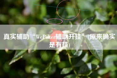 真实辅助“WePoker辅助开挂”(原来确实是有挂)