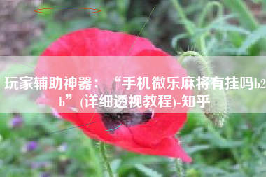 玩家辅助神器：“手机微乐麻将有挂吗b2b”(详细透视教程)-知乎