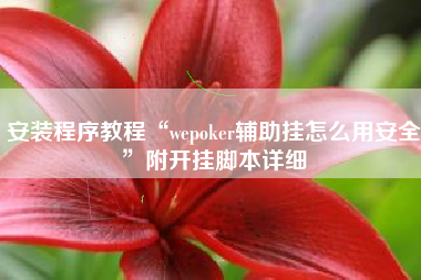 安装程序教程“wepoker辅助挂怎么用安全	”附开挂脚本详细