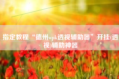 指定教程“德州wpk透视辅助器”开挂(透视)辅助神器