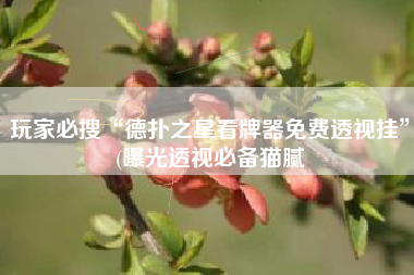 玩家必搜“德扑之星看牌器免费透视挂”(曝光透视必备猫腻