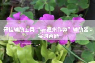 开挂辅助工具“app德州作弊”辅助器 - 实时智能