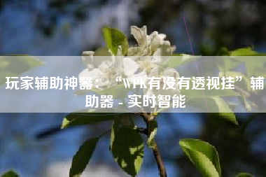 玩家辅助神器：“WPK有没有透视挂”辅助器 - 实时智能