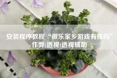 安装程序教程“微乐家乡游戏有挂吗”作弊(透视)透视辅助