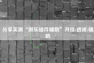 分享实测“微乐插件辅助”开挂(透视)辅助