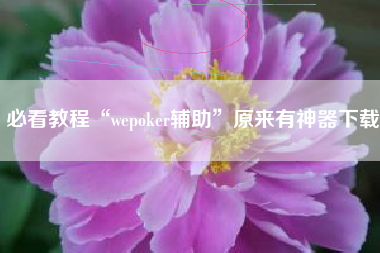 必看教程“wepoker辅助”原来有神器下载