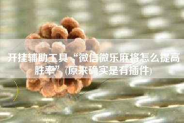 开挂辅助工具“微信微乐麻将怎么提高胜率	”(原来确实是有插件)