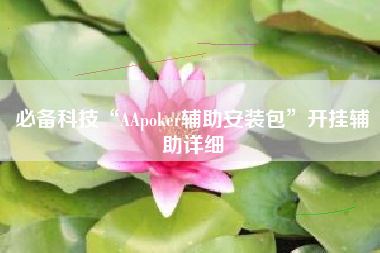 必备科技“AApoker辅助安装包”开挂辅助详细