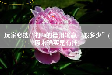 玩家必搜“打50的德州输赢一般多少”(原来确实是有挂)