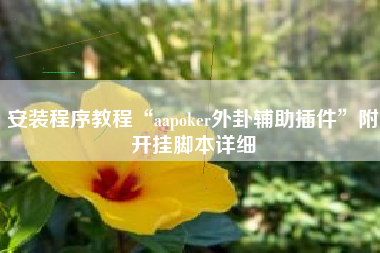 安装程序教程“aapoker外卦辅助插件	”附开挂脚本详细