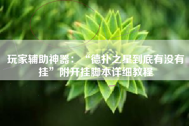 玩家辅助神器：“德扑之星到底有没有挂	”附开挂脚本详细教程