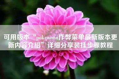 可用版本“pokemmo作弊菜单最新版本更新内容介绍”详细分享装挂步骤教程