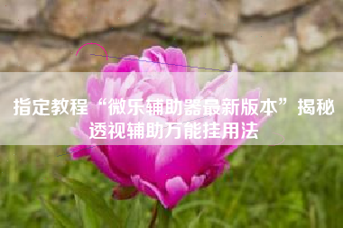 指定教程“微乐辅助器最新版本”揭秘透视辅助万能挂用法